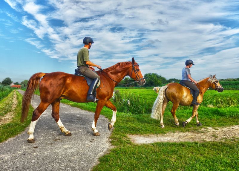 What to Wear for Horseback Riding: Essential Tips for Beginners